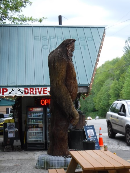 Sasquatch near Index, WA