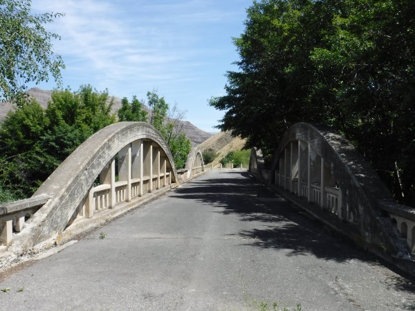 Reverse arch concrete bridge
